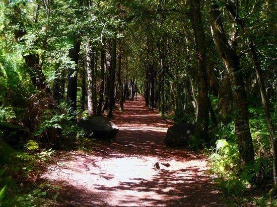 Manoir Du Tertre Au Coeur De La Foret De Broceliande * Paimpont